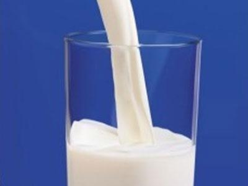 Власть намерена помочь производителям молочной продукции из Любашевского района – главный экономист 