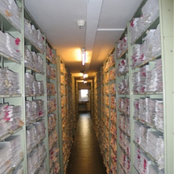 Государственный архив Одесской области принял на хранение более 19 тыс. новых документов