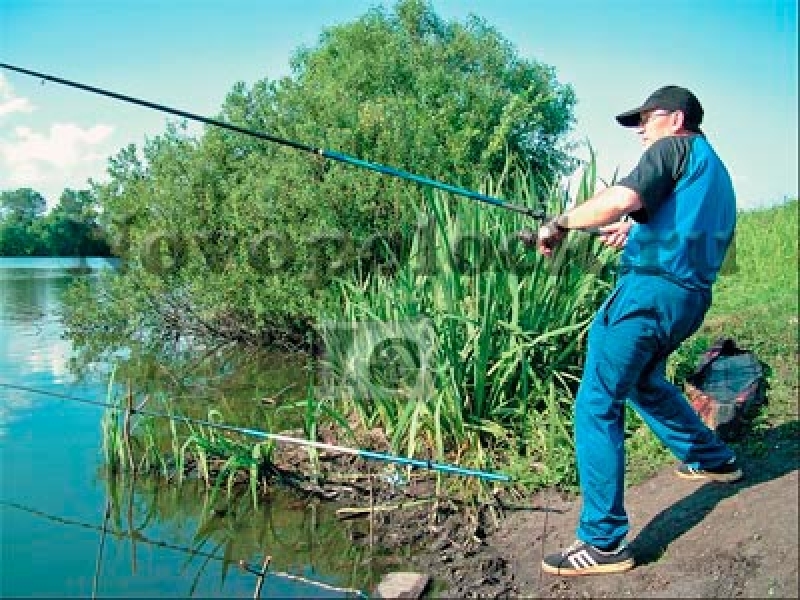Рыбаки-любители смогут ловить рыбу в Одесской области, несмотря на государственный запрет