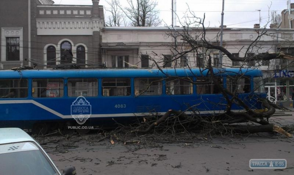 Дерево упало на трамвай с пассажирами в центре Одессы (фото)