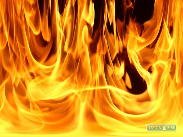 Мать и двое детей погибли при пожаре в Раздельнянском районе