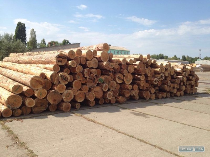 Прокуратура Одесской области подозревает ряд предприятий в незаконном экспорте леса