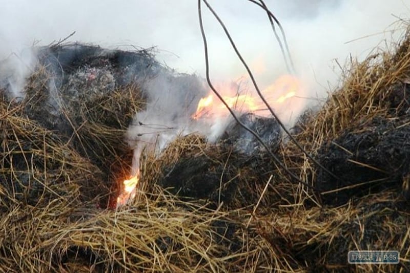 Три тонны сена сгорело в Захаровском районе Одесской области из-за шалости детей