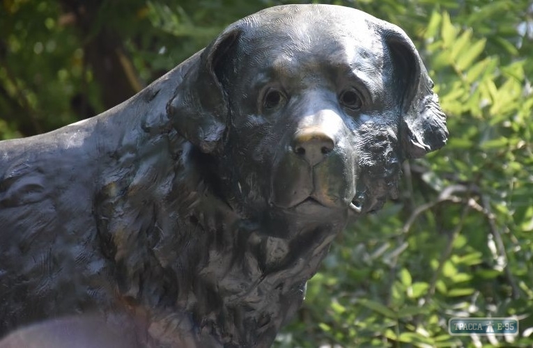В Черноморске устанавливают памятник собаке, которая прождала погибшего хозяина 10 лет (фото)