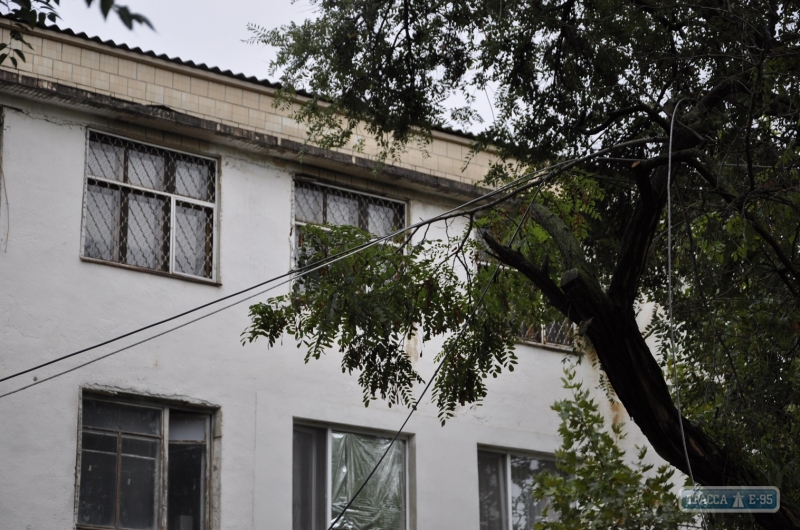 Упавшее дерево парализовало работу Болградской райадминистрации
