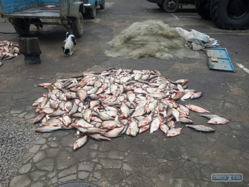 Пограничники задержали в Одесской области браконьера, выловившего более 500 кг рыбы
