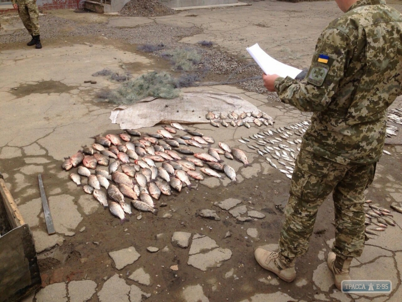 Пограничники поймали браконьеров на двух озерах в Одесской области