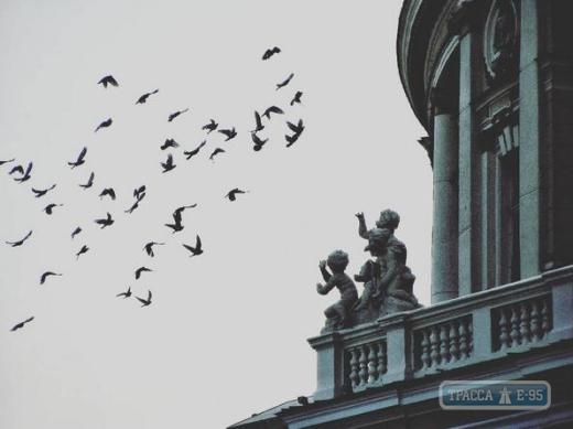 В мэрии выбрали лучшие фотографии, сделанные туристами в Одессе