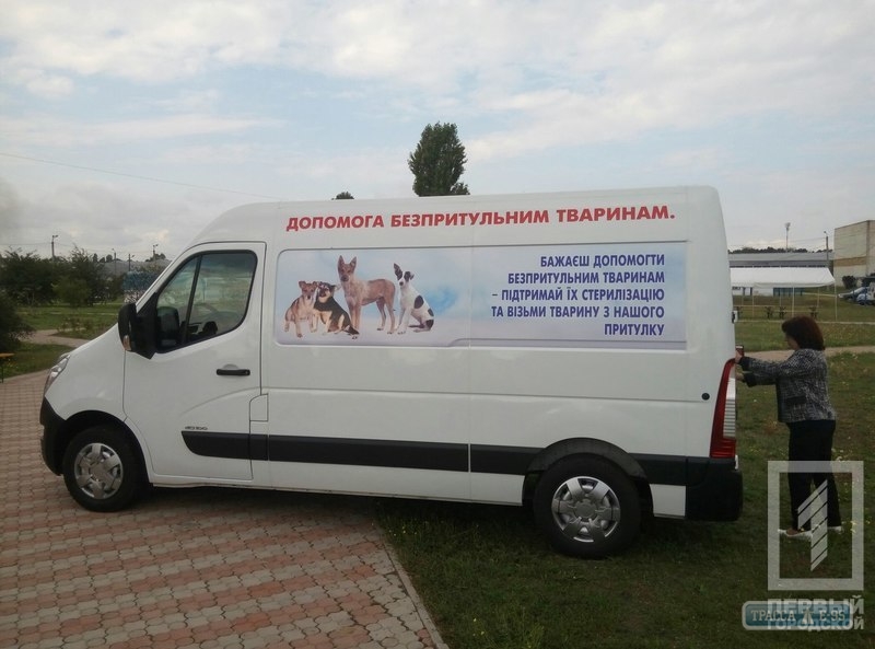 Скорая помощь по стерилизации бездомных животных появится в Одессе