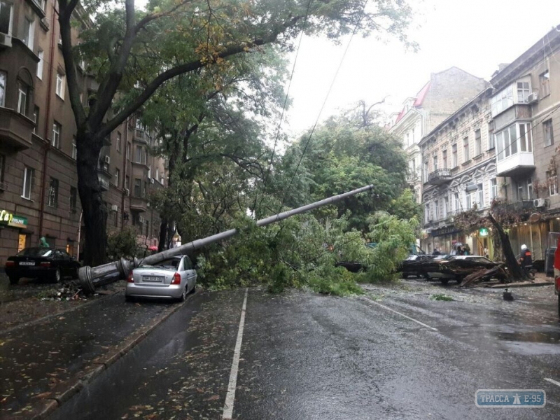 Огромное дерево перекрыло улицу в центре Одессы