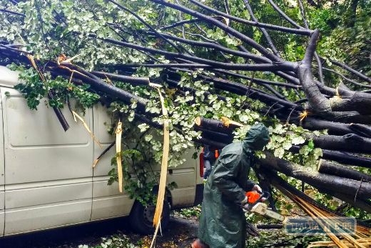 Количество упавших в результате бури деревьев в Одессе выросло до двух тысяч