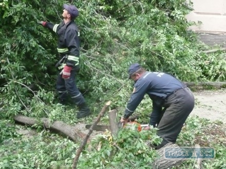 В Одессе дерево упало на храм Киевского патриархата