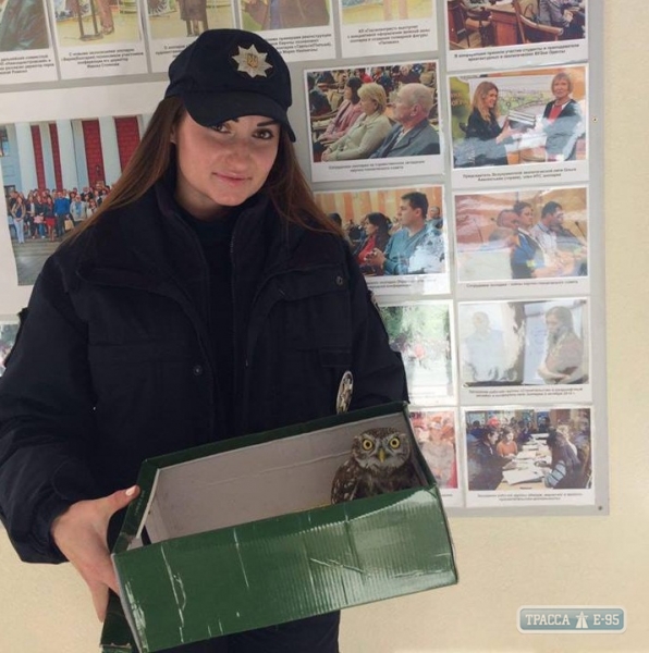 Патрульные в Одессе спасли птенца от голодной смерти