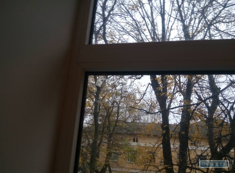Неизвестные разбили окна в кабинете замглавы Окнянского района