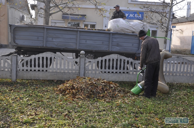 Жителей Болграда удивила новая техника для уборки листьев (фото)