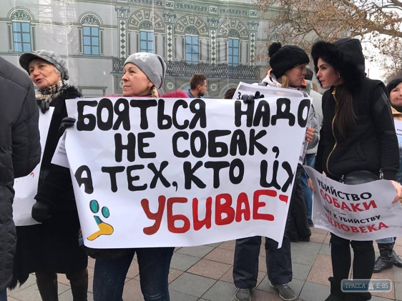 Зоозащитники митинговали под Одесской мэрией