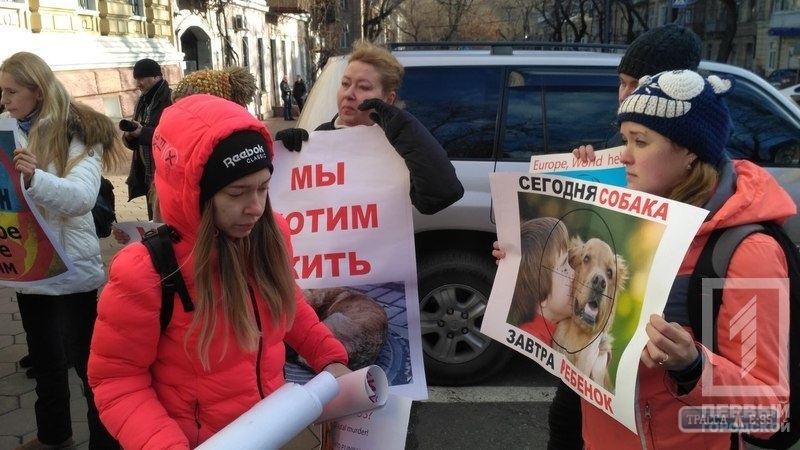 Зоозащитники принесли под здание полиции в Одессе мертвых собак, которых отравили догхантеры