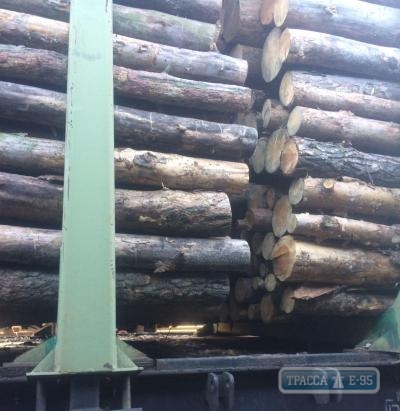 Пограничники задержали в Одесской области поезд с древесиной