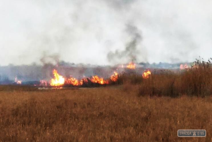 Браконьеры в Одесской области устроили пожар в национальном парке