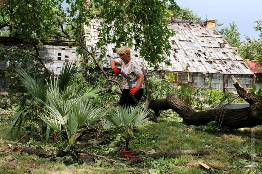 Специалисты принялись восстанавливать уникальный Одесский ботанический сад, разрушенный ураганом