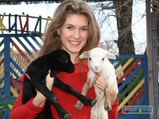 Детеныши камерунских овец родились в Одесском зоопарке (фото)