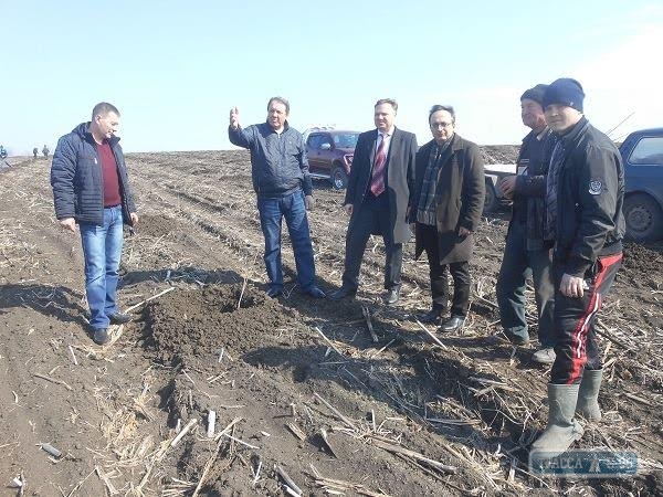 Район на севере Одесской области хотят засадить фруктовыми садами (фото)