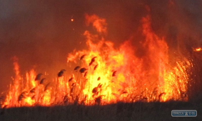 Крупный пожар в Болграде: на побережье снова горел камыш