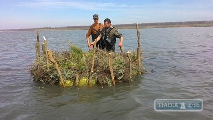 Команда нацпарка в Одесской области создает на лимане искусственные острова для птиц (фото)