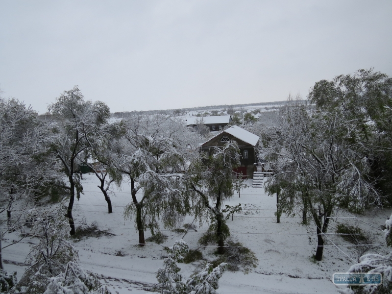 Последствия непогоды в Одесской области: массовый деревопад и целые поселки без света (фото)