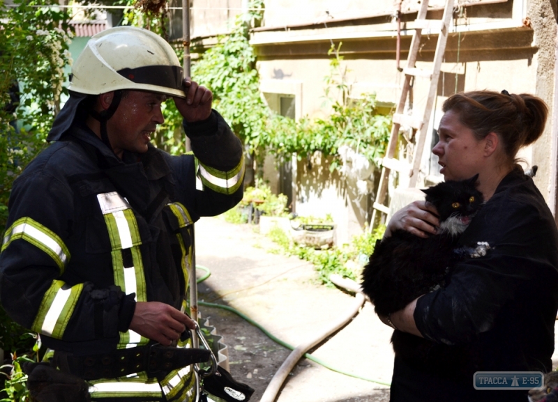 Спасатели эвакуировали из горящей квартиры в Одессе пятерых жильцов, четырех котов и собаку