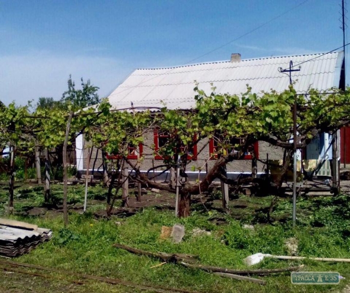 Глава Одесской области купил дом в селе, чтобы его налоги шли на строительство школы (фото)