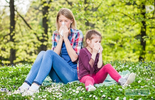 Одесситы стали чаще страдать от аллергии