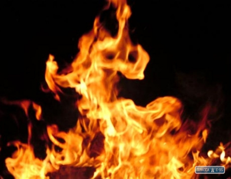 Во время пожара в поле под Одессой сгорел автомобиль