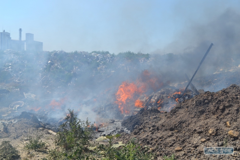 Пожар на Шкодовой горе в Одессе: горит мусор и сухая трава (фото)
