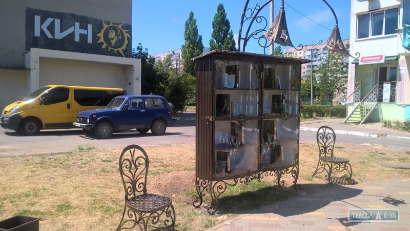 Книжный шкаф появился посреди парка в Южном (фото)