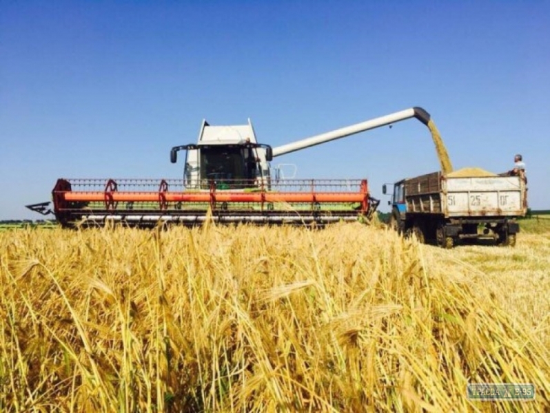 Аграрии Балтского района собрали первые тонны урожая