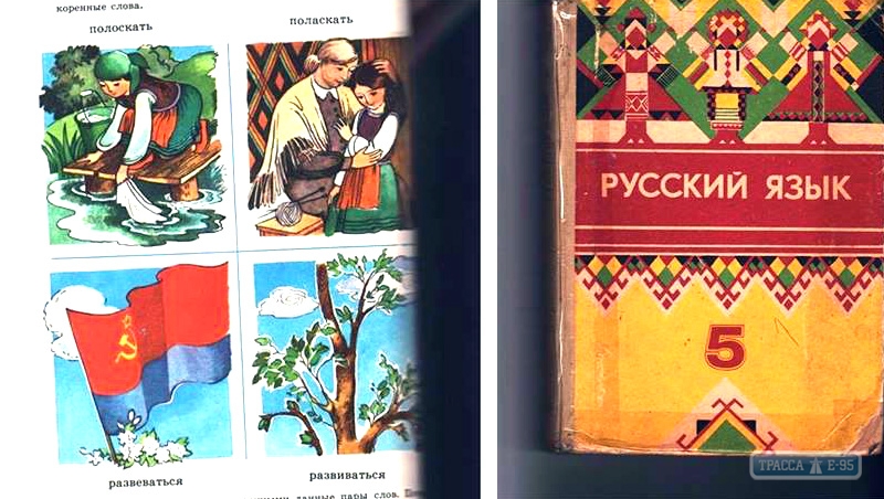В Измаильском районе уволили библиотекаря, выдавшую школьникам советские учебники