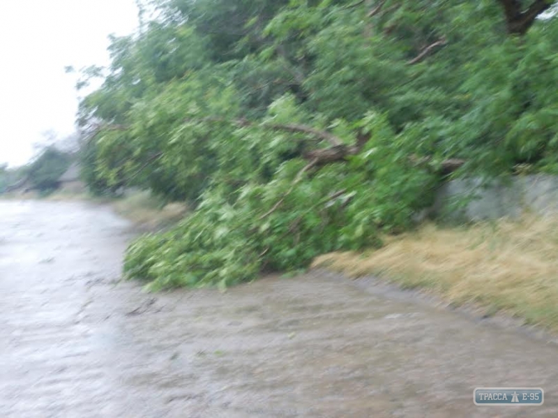 Сильный ливень с ураганным ветром обрушились на север Одесской области (фото)