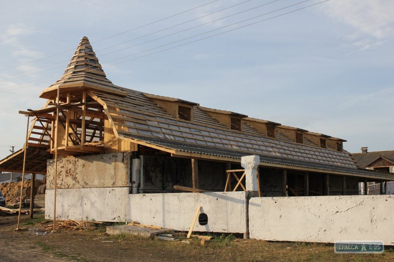 Заслуженный работник сельского хозяйства строит конеферму в родном селе на севере Одесщины
