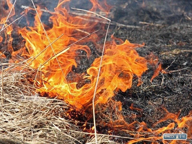 Масштабный пожар произошел на сенохранилище в Любашевском районе