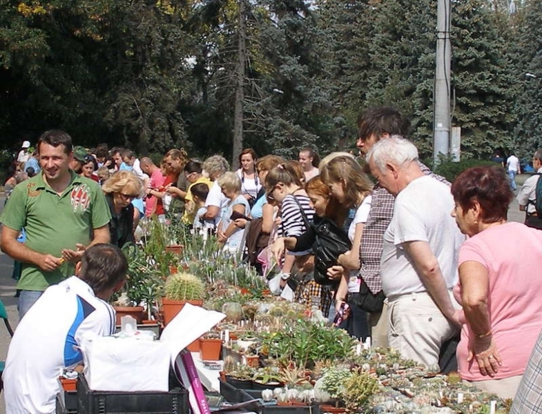 Одесские кактусоводы помогут ботаническому саду