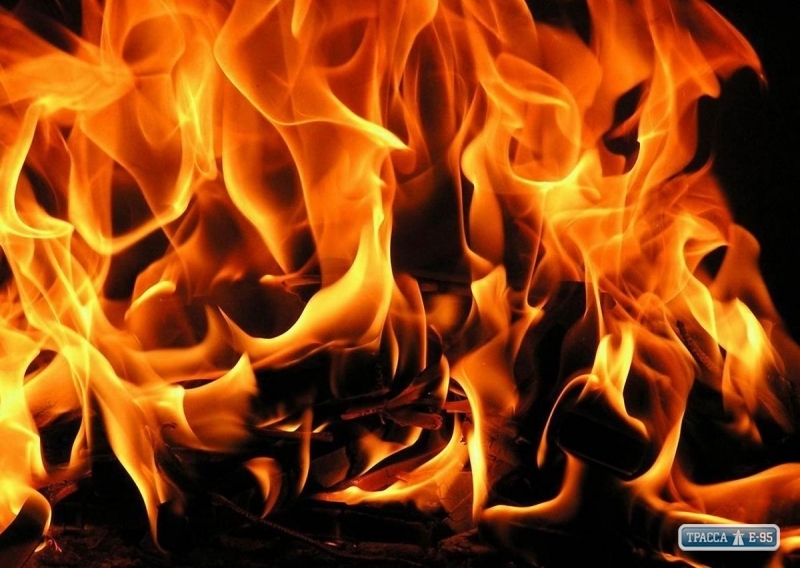 Пожарные и местные жители спасли от огня дом пенсионеров в Ширяево на Одесщине