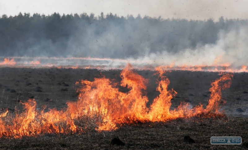 Власти Одесской области намерены усилить контроль за сжиганием стерни в регионе