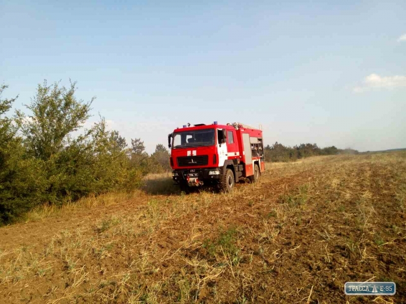 В Лебедевке Одесской области cгорел лес