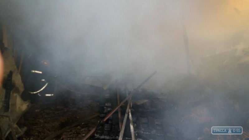 Крупный пожар случился на заводе в Измаиле (фото)