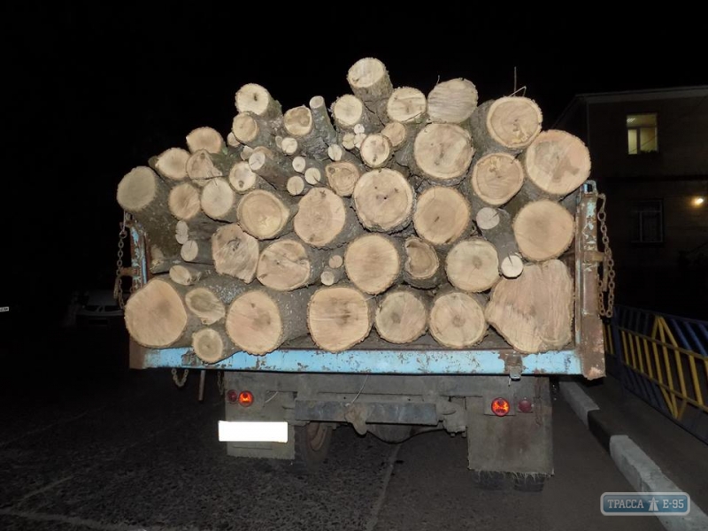 Полиция задержала на севере Одесщины грузовик с незаконно срубленными деревьями (фото)