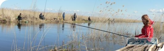 Вылов рыбы в местах ее зимовки в Одесской области будет запрещен