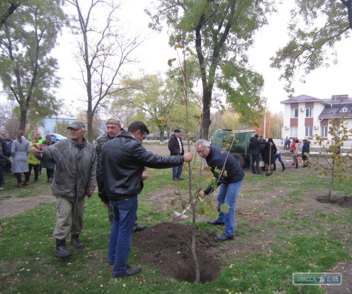 Бойцы АТО заложили новый парк в Ивановке