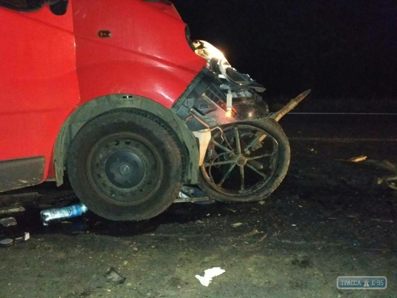 Микроавтобус врезался в повозку на юге Одесской области: три человека погибли (фото)