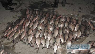 Пограничники Одесской области задержали браконьеров без документов, но с 50 кг рыбы